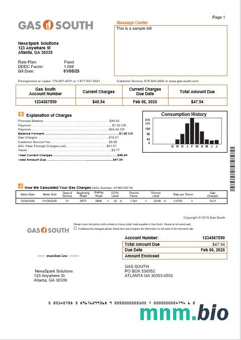 USA New York Gas South rachunek za usługi komunalne szablon w formacie Word i PDF